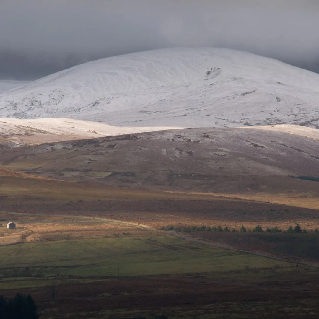 Cumbria Fingering